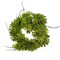 Raz Philodendron Leaves and Twigs Artificial Tropical Wreath - 26" - Unlit